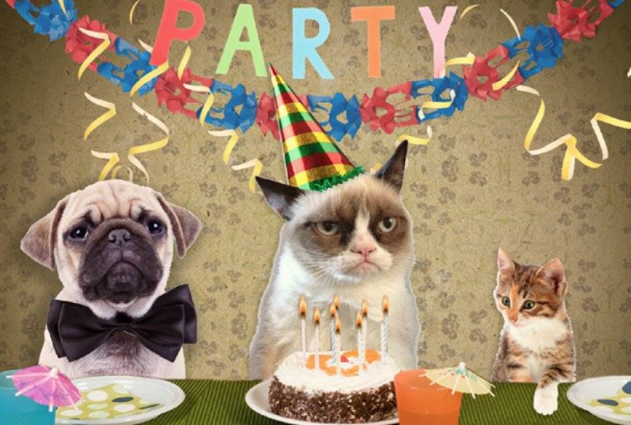 grumpycatbirthdayparty-6b1a295bcf6c439bef8a8a891b612474.jpg grumpycatbirthdayparty-6b1a295bcf6c439bef8a8a891b612474.jpg
