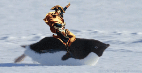 napoleon-93f2cd708701c74887039e4ad93f3b86.gif napoleon-93f2cd708701c74887039e4ad93f3b86.gif