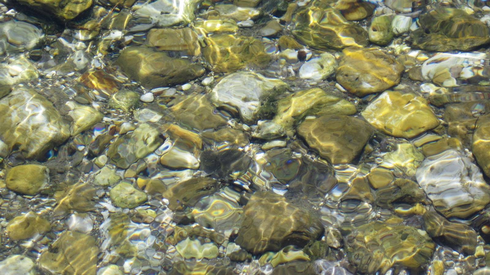 pebblesunderwater-51176b15ffc9c364930d2915e101c726.jpg pebblesunderwater-51176b15ffc9c364930d2915e101c726.jpg