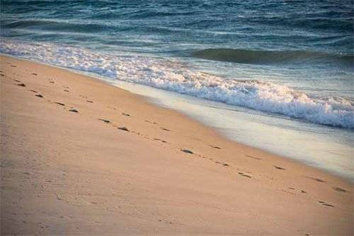 playa-10cefe4e39f806d0860d681eb46e5b9a.jpg playa-10cefe4e39f806d0860d681eb46e5b9a.jpg