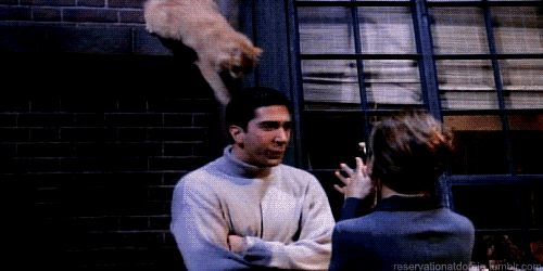 rossggifsfriends16385056500250-c3b510905c8dfd8215fe442ef35577ac.gif rossggifsfriends16385056500250-c3b510905c8dfd8215fe442ef35577ac.gif