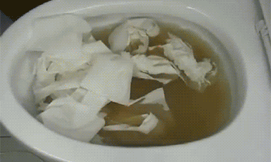 toilet-a17c15886c31de6c5942280128f1cf78.gif toilet-a17c15886c31de6c5942280128f1cf78.gif
