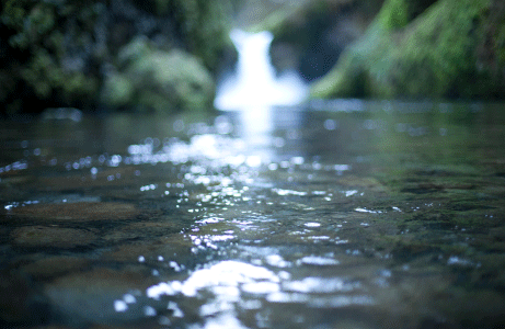 tumblrn5iwg71uvz1szzplzo1500-42c48316fdc377848eb82bf2a978b64b.gif tumblrn5iwg71uvz1szzplzo1500-42c48316fdc377848eb82bf2a978b64b.gif