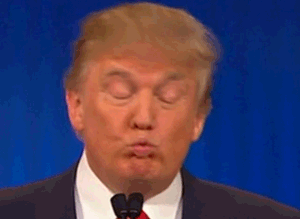 378bc2a0437601339d860af7184f89fb-e0d8c4fdb74cc5bfee90f173f1c66c48.gif 378bc2a0437601339d860af7184f89fb-e0d8c4fdb74cc5bfee90f173f1c66c48.gif