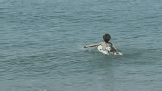 39d5674c399642e589f04c5cbdadc258-d7cd5ce7920e4ba3907648a605f40095.gif 39d5674c399642e589f04c5cbdadc258-d7cd5ce7920e4ba3907648a605f40095.gif