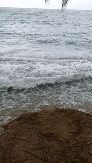 4ac89046bca94847b4682ada23bf5571-f3dce1c81d0836195675f04508026a74.gif 4ac89046bca94847b4682ada23bf5571-f3dce1c81d0836195675f04508026a74.gif