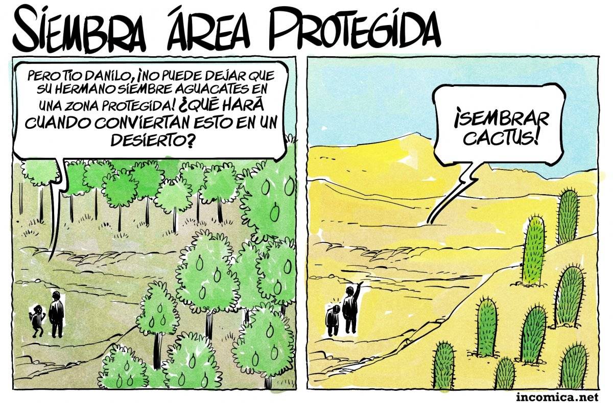 Caricatura