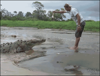 giphy116-250f9f42081640937313e092a9e6ed16.gif giphy116-250f9f42081640937313e092a9e6ed16.gif