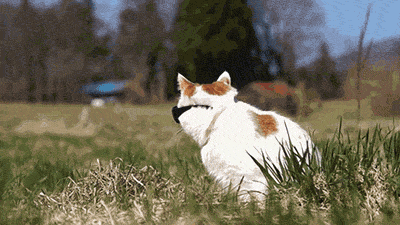 giphy18-c4f7622df0e47629c9c09283dd1337e6.gif giphy18-c4f7622df0e47629c9c09283dd1337e6.gif