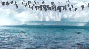 giphy3-308de8a190becf9ed581ee5f4f3057cc.gif giphy3-308de8a190becf9ed581ee5f4f3057cc.gif