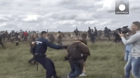 giphy331-fc3ef7ba6302d77b8a852ab808de9058.gif giphy331-fc3ef7ba6302d77b8a852ab808de9058.gif