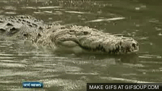 giphy35-bac75a42a717630322877d871eec855f.gif giphy35-bac75a42a717630322877d871eec855f.gif