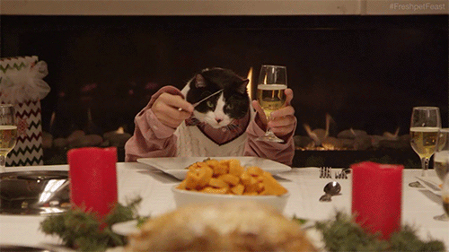 giphy361-40a1ed242f14aaabbc21e1b1c6b18c9a.gif giphy361-40a1ed242f14aaabbc21e1b1c6b18c9a.gif