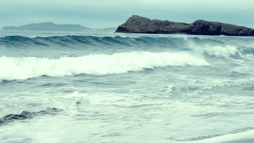 giphy6-4220fbed30106f16950a03f458a8361b.gif giphy6-4220fbed30106f16950a03f458a8361b.gif