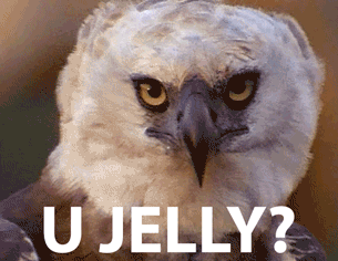 giphy7-51f20d8e57ffb9e904b59bdb150b69da.gif giphy7-51f20d8e57ffb9e904b59bdb150b69da.gif