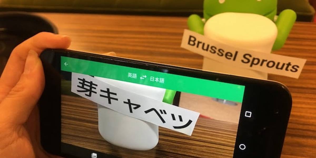 ¿Qué significan todos los ajustes de la cámara de tu celular?