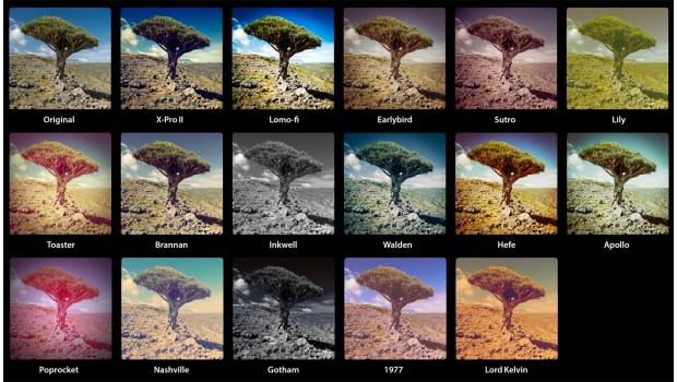 1501instagram620x350-9961b35d071d6ecc24b29ea8eacf0aff.jpg 1501instagram620x350-9961b35d071d6ecc24b29ea8eacf0aff.jpg