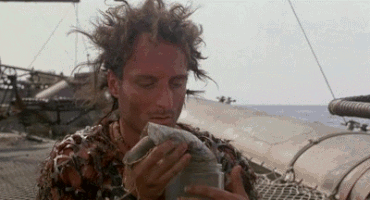 20029-4603a6046fa060448600f72588f8f63f.gif 20029-4603a6046fa060448600f72588f8f63f.gif