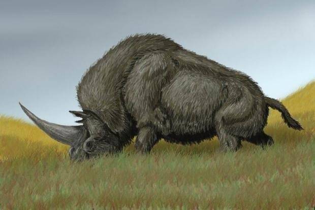 20160329120423unicoriniorealsiberaianoinvestigaciocc81nanimalescnn620x6200-9f52beeaaeb7e1d0be70fda28775bd5d.jpg 20160329120423unicoriniorealsiberaianoinvestigaciocc81nanimalescnn620x6200-9f52beeaaeb7e1d0be70fda28775bd5d.jpg