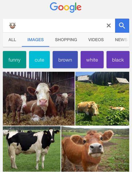 20160519144253googlecowemojiresult1463522644460x600620x6200-4d4620a6bf158699cca95b88e6c507d1.jpg 20160519144253googlecowemojiresult1463522644460x600620x6200-4d4620a6bf158699cca95b88e6c507d1.jpg