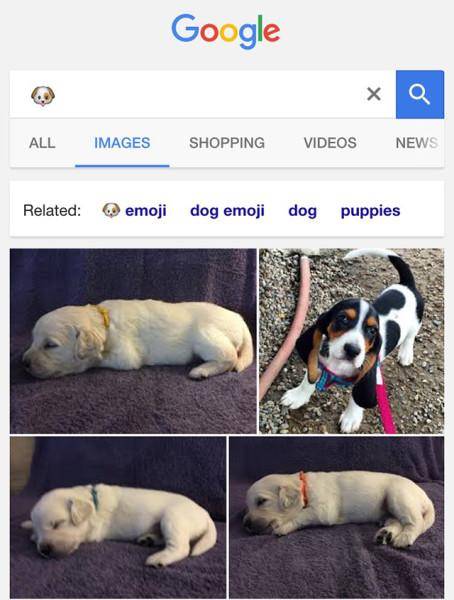 20160519144301googledogemojiresult1463522644454x600620x6200-a817b63a8a51a1757e4bf0b6ba482291.jpg 20160519144301googledogemojiresult1463522644454x600620x6200-a817b63a8a51a1757e4bf0b6ba482291.jpg