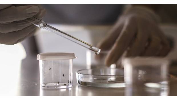 2018zika620x350-033c4bf9d02b25d5402a5b9ae9c6df3d.jpg 2018zika620x350-033c4bf9d02b25d5402a5b9ae9c6df3d.jpg