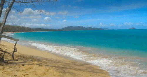 253beautifulbeach-bd438cbf375bccf0491d2f7083478652.gif 253beautifulbeach-bd438cbf375bccf0491d2f7083478652.gif