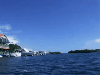 5d25f7a4a17342808d5139943d308935-9478b7f4ff1a885c7f1f539dc7659606.gif 5d25f7a4a17342808d5139943d308935-9478b7f4ff1a885c7f1f539dc7659606.gif