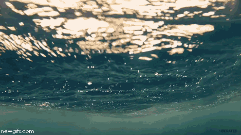7050c9d3df900df833f74c324fc0712d-898afdb6182fc72f61e6e90767c6e9e4.gif 7050c9d3df900df833f74c324fc0712d-898afdb6182fc72f61e6e90767c6e9e4.gif