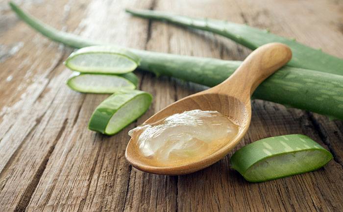 aloeveragelonwoodenspoon1-4951f50a07982b624d22f711180ed84a.jpg aloeveragelonwoodenspoon1-4951f50a07982b624d22f711180ed84a.jpg