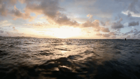 atsea-5bb0490b256ef3a53cb7a064559ea48b.gif atsea-5bb0490b256ef3a53cb7a064559ea48b.gif