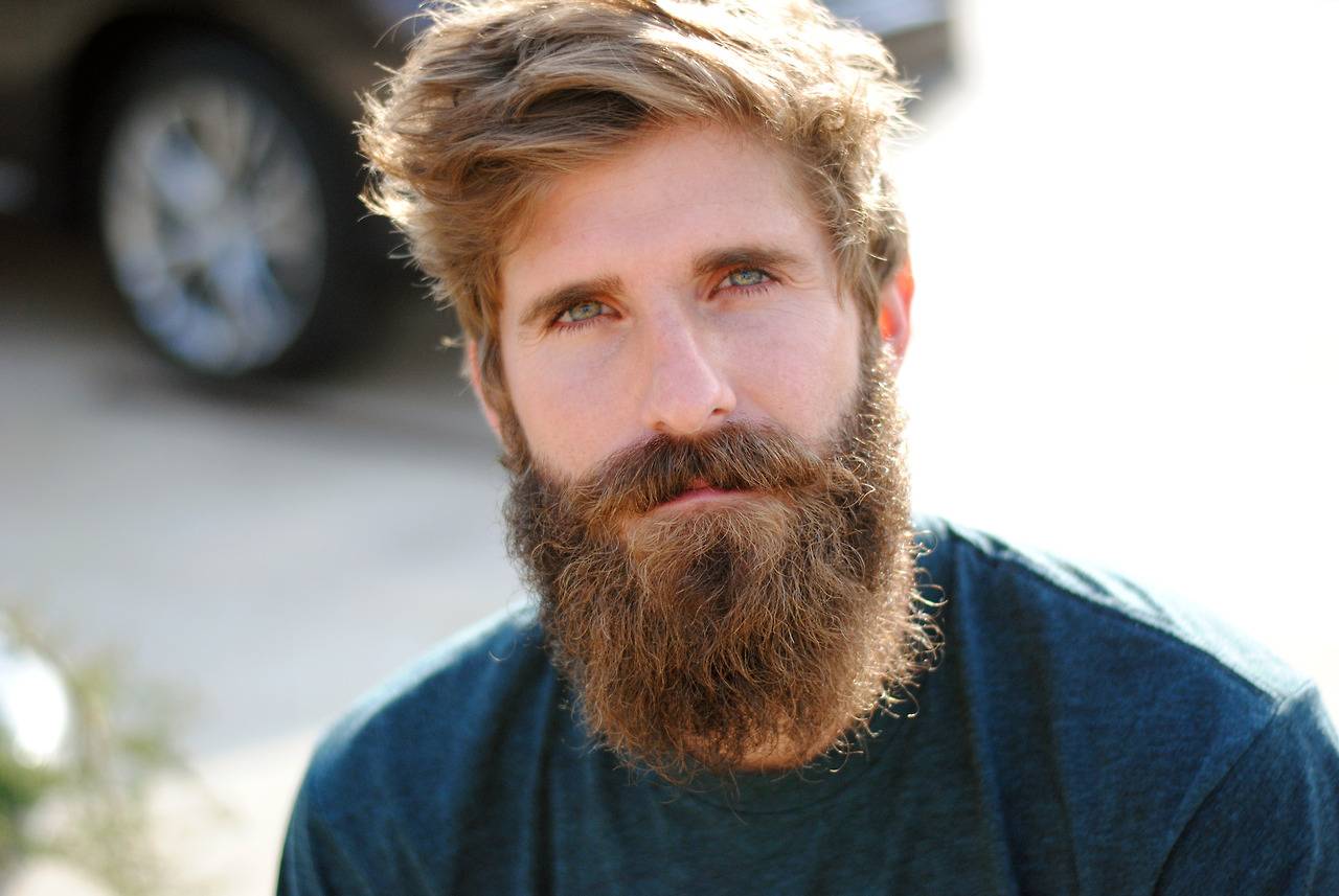 barbas-0220fe7f0516b96fe9e198c57503180c.jpg barbas-0220fe7f0516b96fe9e198c57503180c.jpg