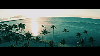 bd1b530a0dab48df9a1ecee3d2928adb-e0f867ecba9ff9d6a513f88f1dd794c6.gif bd1b530a0dab48df9a1ecee3d2928adb-e0f867ecba9ff9d6a513f88f1dd794c6.gif