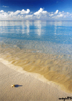 beachanimated-d89702289f3da72b6b1a5060c4db5fa5.gif beachanimated-d89702289f3da72b6b1a5060c4db5fa5.gif