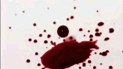 blood-dcffedb657f926bfbf3d336d86081fb9.gif blood-dcffedb657f926bfbf3d336d86081fb9.gif