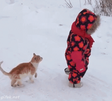 caat-3434515f6a52ea5c1328c281a81cd880.gif caat-3434515f6a52ea5c1328c281a81cd880.gif