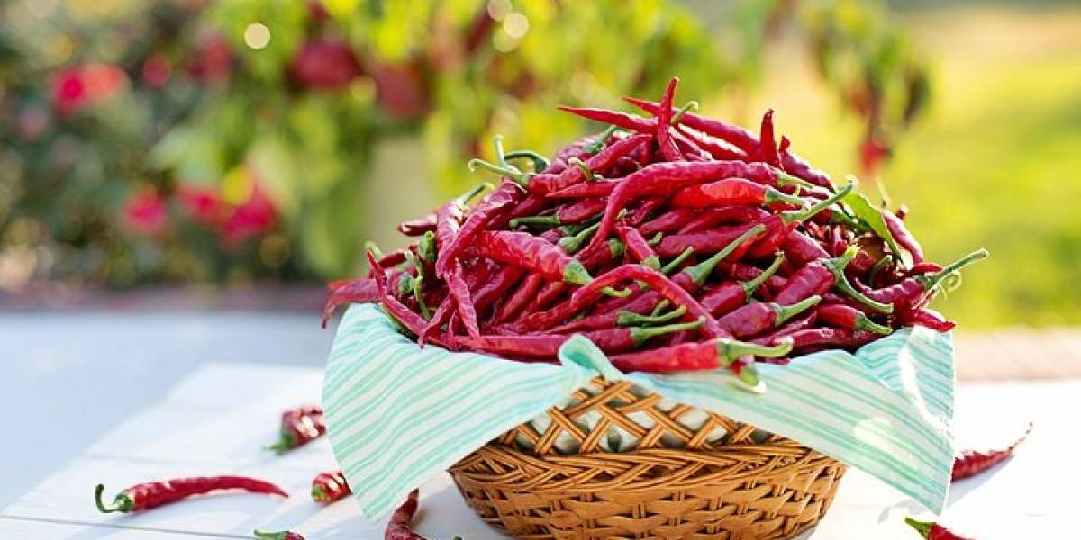 Un químico en los chiles podría convertirse en un nuevo tratamiento para la depresión