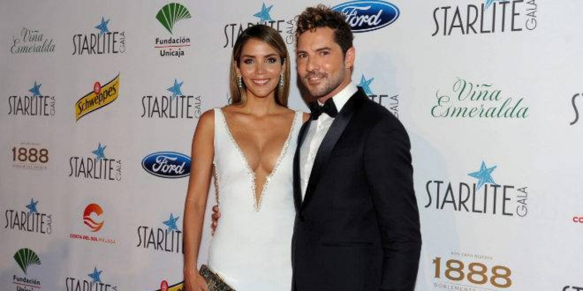 David Bisbal anuncia que su esposa está embarazada