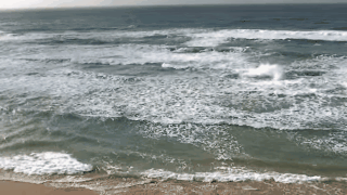 e489a658f103412c987eac82b0dd274e-7321a2b3167a8630ac6a2772485c115f.gif e489a658f103412c987eac82b0dd274e-7321a2b3167a8630ac6a2772485c115f.gif