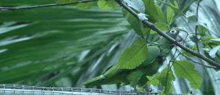 ezgif2524679821-02506993a59e05b068844432dac039c7.gif ezgif2524679821-02506993a59e05b068844432dac039c7.gif