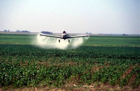 fumigacion1-3502b8ba6681387d422faab5cdf94f3f.jpg