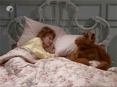 giphy11-5989d8139daffcc4d63a12b3b57f4f7c.gif giphy11-5989d8139daffcc4d63a12b3b57f4f7c.gif
