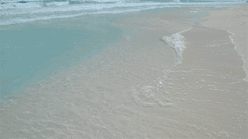 giphy11-b3e4b1199185afe4d35e3b0a55091a8f.gif giphy11-b3e4b1199185afe4d35e3b0a55091a8f.gif