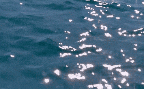 giphy115-75aea325461251eb2433db88d7b0376f.gif giphy115-75aea325461251eb2433db88d7b0376f.gif