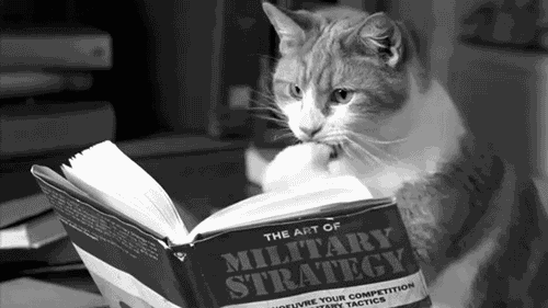 giphy15-62713266818bf8c2fd0fbc95141a4082.gif giphy15-62713266818bf8c2fd0fbc95141a4082.gif