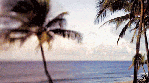 giphy15-deeed34e4290a80a5319efd549c87c7e.gif giphy15-deeed34e4290a80a5319efd549c87c7e.gif