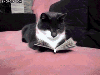 giphy21-bb43edaa9adfbb953a900b531f3d942a.gif giphy21-bb43edaa9adfbb953a900b531f3d942a.gif