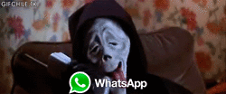 giphy22-23a4ef3d3524586fc93134a63ac77ecf.gif giphy22-23a4ef3d3524586fc93134a63ac77ecf.gif