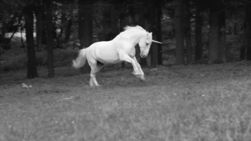 giphy26-1181fe6f82a1f2493de01e9a0abdc9d4.gif giphy26-1181fe6f82a1f2493de01e9a0abdc9d4.gif