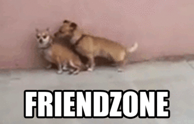 giphy27-e6a2f4910c61a55833af744c2b57ef14.gif giphy27-e6a2f4910c61a55833af744c2b57ef14.gif